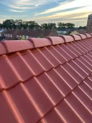 Pannendakrenovatie .jpg