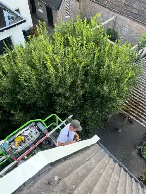 Renovatie windveren en overstek.jpg