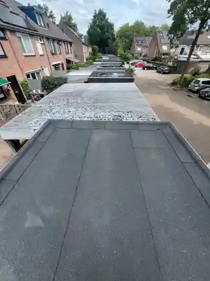Schuurdak renovatie.jpg