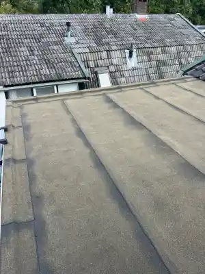 Tweelaagse wortelwerende dakbedekking.jpg