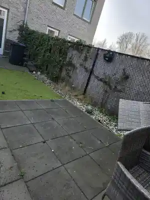 Straat reiniging .jpg