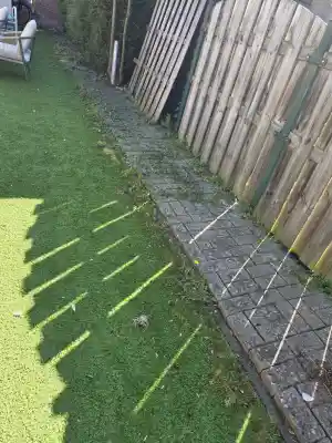 Onkruid/Grasmatten .jpg