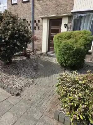 Onkruid verwijdering.jpg