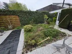 Achtertuin renovatie .jpg