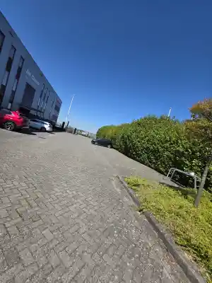 Haag inkorten .jpg