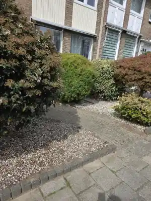 Onkruid verwijdering.jpg