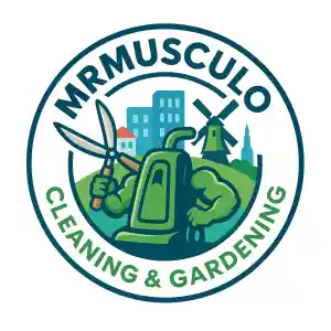 schoonmaakbedrijf_capelle-aan-den-ijssel_MrMusculo_7.jpg