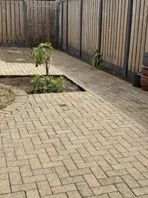 schoonmaakbedrijf_weert_SmartWashPro_3.jpg