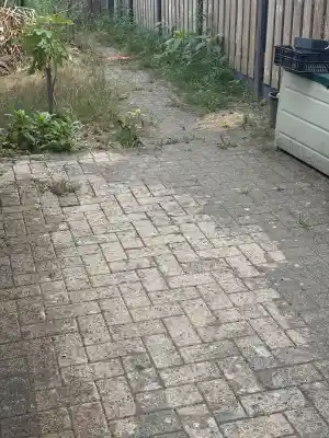 schoonmaakbedrijf_weert_SmartWashPro_4.jpg