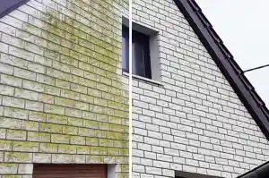 reinigungsfirma_freudenberg_SF-Flächenreinigung_6.jpg