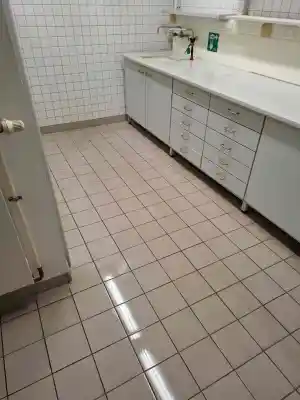 Grundreinigung im Naturkunde Museum Karlsruhe.jpg