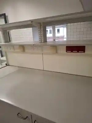 Grundreinigung im Naturkunde Museum Karlsruhe.jpg