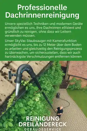 reinigungsfirma_l%C3%B6rrach_Reinigung_Dreiländereck_4.jpg