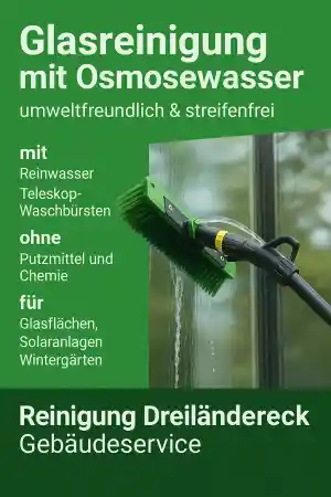 reinigungsfirma_l%C3%B6rrach_Reinigung_Dreiländereck_3.jpg