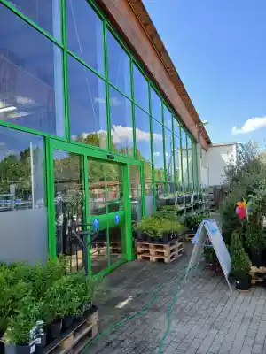 Glasreinigung.jpg