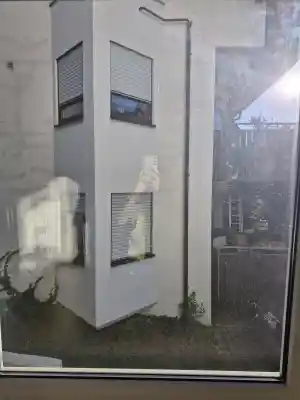 Fenster- und Grundreinigung.jpg