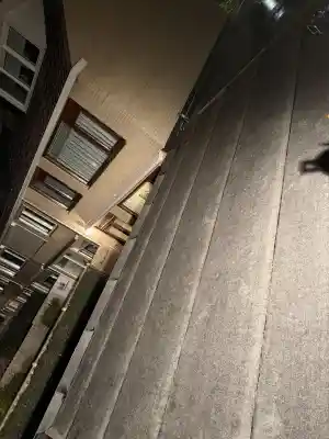 Garage daken renovatie .jpg