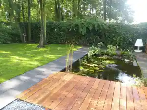 boomverzorging_zeist_natuurtalentzeist_5.jpg