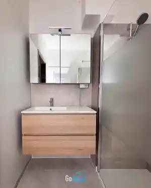 Gedeeltelijke renovatie Gent.jpg