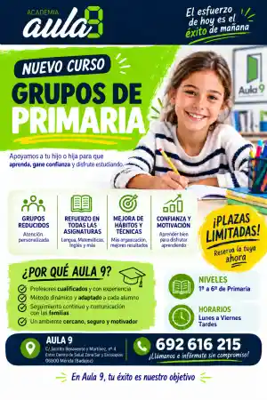 profesores-particulares_merida_Academia_Aula_9,_Clases_particulares_5.jpg