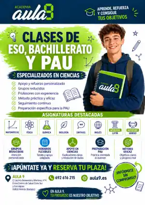 profesores-particulares_merida_Academia_Aula_9,_Clases_particulares_4.jpg