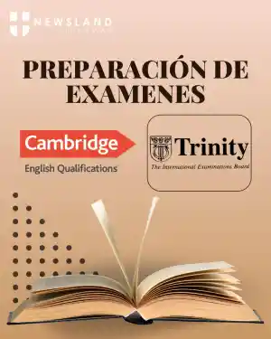 profesores-particulares_madrid_Newsland_Idiomas_SL_4.jpg
