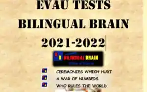 profesores-particulares_collado-villalba_Bilingual_Brain_|_Academia_de_inglés_4.jpg