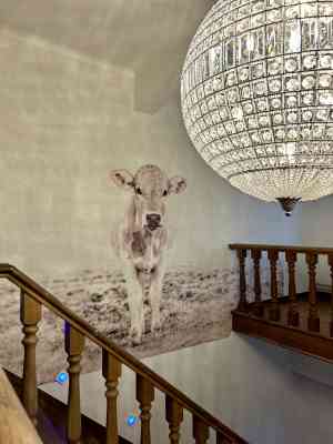 schilder_kortenaken_estilismo,_schilder-decorateur_7.jpg