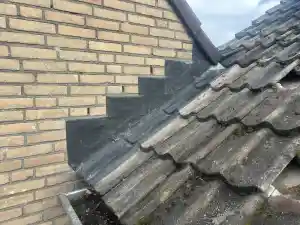dakdekker_kaatsheuvel_Kruijssen_dakonderhoud_7.jpg