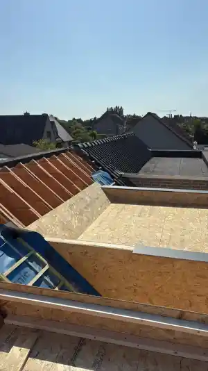 Renovatie dak met extra dakkapellen.jpg