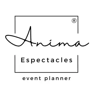 wedding-planner_sant-boi-de-llobregat_anima_espectacles_5.jpg