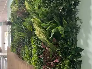 organizador-eventos_parla_Eventos_Maui_3.jpg
