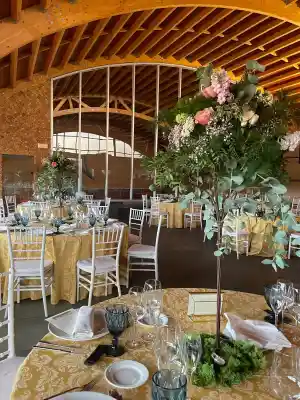 organizador-eventos_pozuelo-de-calatrava_Ingenia_Fiestas_&_Eventos_3.jpg
