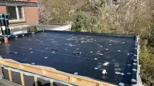 dakgoot_veen_Holland_Dakonderhoud_2.jpg