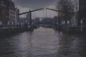 online-marketing_dordrecht_Keller_SEO_4.jpg