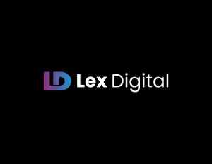 webdesign_antwerpen_Lex_Digital_2.jpg