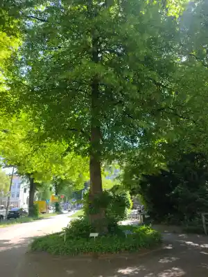 paartherapie_m%C3%BCnster_paarweise_-_Paarberatung_&_Paartherapie_in_Münster_5.jpg