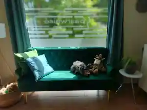 paartherapie_m%C3%BCnster_paarweise_-_Paarberatung_&_Paartherapie_in_Münster_2.jpg
