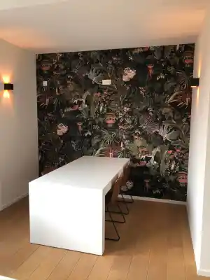 schilder_tremelo-baal_Schilderwerken_Soontjens_Ivan_3.jpg