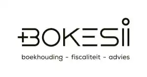 boekhouder_bornem_BokeSi_2.jpg