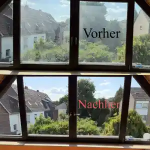 Reinigung von Fenstern.jpg