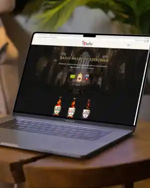 webdesign_oostende_Makker_Marketing_&_Webdesign_3.jpg