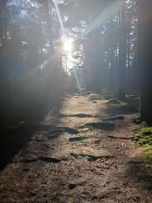 Natuurbegraafplaats De Mepperdennen.jpg