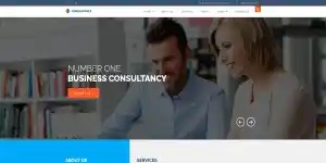 webdesign_simonshaven_Kami_Webdesign_4.jpg