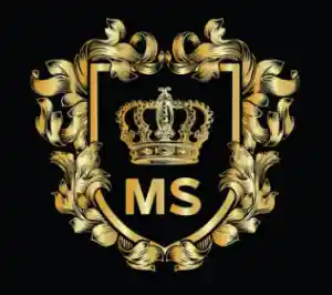 sicherheitsdienst_potsdam_M.S._Security_und_Dienstleistungen_GmbH_5.jpg