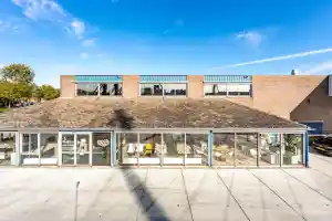 coaching_nieuwegein_Ego_Centralis_B.V._4.jpg