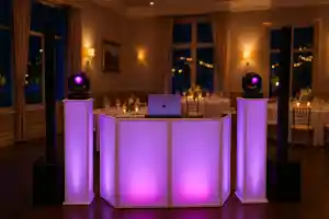 dj_mannheim_DJ_WilliamB_-_Saubere_Übergänge_-_Volle_Energie_!_(ab_1200,-_€)__6.jpg
