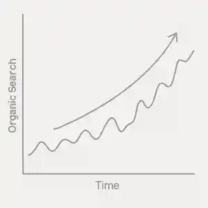 SEO-Optimierung für nachhaltiges Startup.jpg