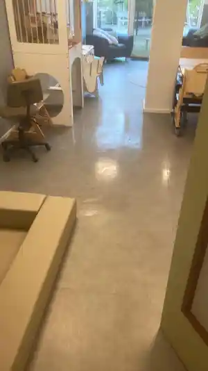 schoonmaakbedrijf_utrecht_E.L_Schoonmaakservice_5.jpg