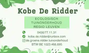 tuinaanleg-en-tuinonderhoud_leuven-kessel-lo_De_Groene_Ridder_-_Tuinonderhoud_3.jpg